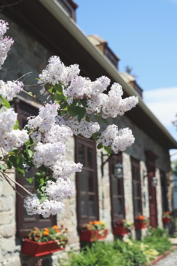 Domaine Steinbach Cidrerie B&B Distillerie Saint-Pierre-de-l'Ile-d'Orleans Exterior photo